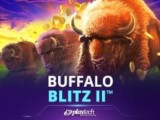 Buffalo Blitz Ii™ game cover