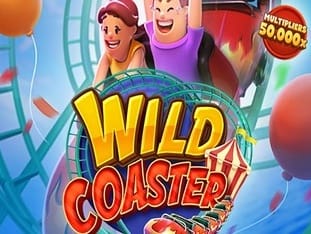 Wild Coaster game cover